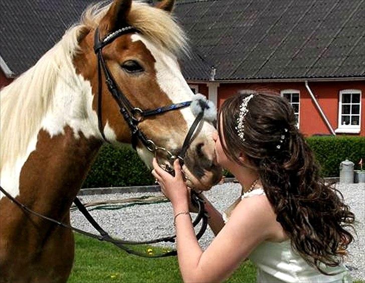 Anden særlig race :Tequila*SOLGT :'( - Til min konfirmation! <3<3 I Iove You!<3 billede 10