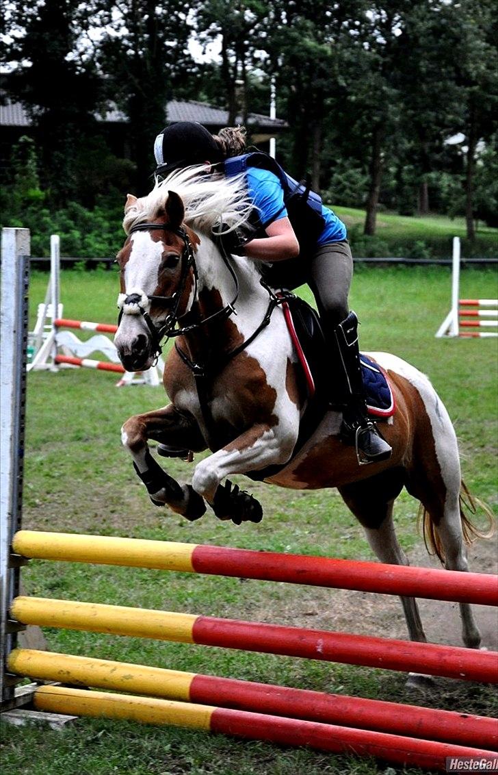 Anden særlig race :Tequila*SOLGT :'( - Tequila og Jeg i LB!<3 BIG billede 6