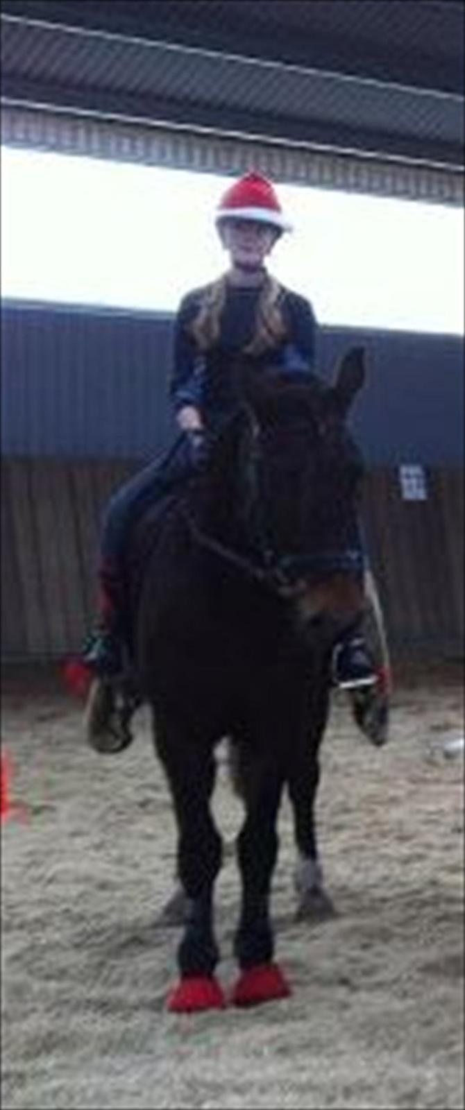 Anden særlig race Charles (Himmelhest) - Jule udklædning til ponygames :-).
Han var så dygtig :-D. billede 7