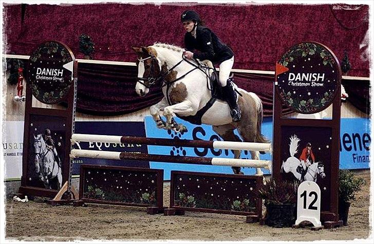 Pinto Sally - Danish Christmas Show Warm Up 2011. Her i LA* som var vores sidste ponyklasse sammen<3 hun gik nul :) billede 2