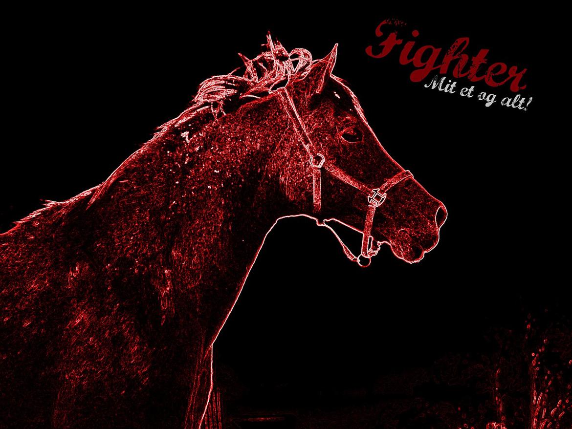 Anden særlig race Fighter billede 1