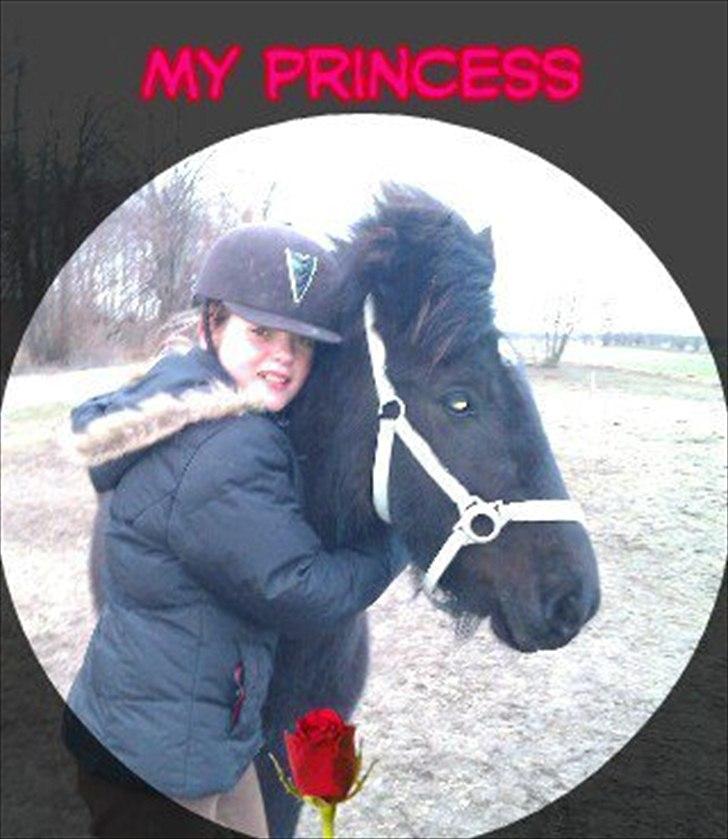 Islænder Litla *Mit et og alt* billede 8