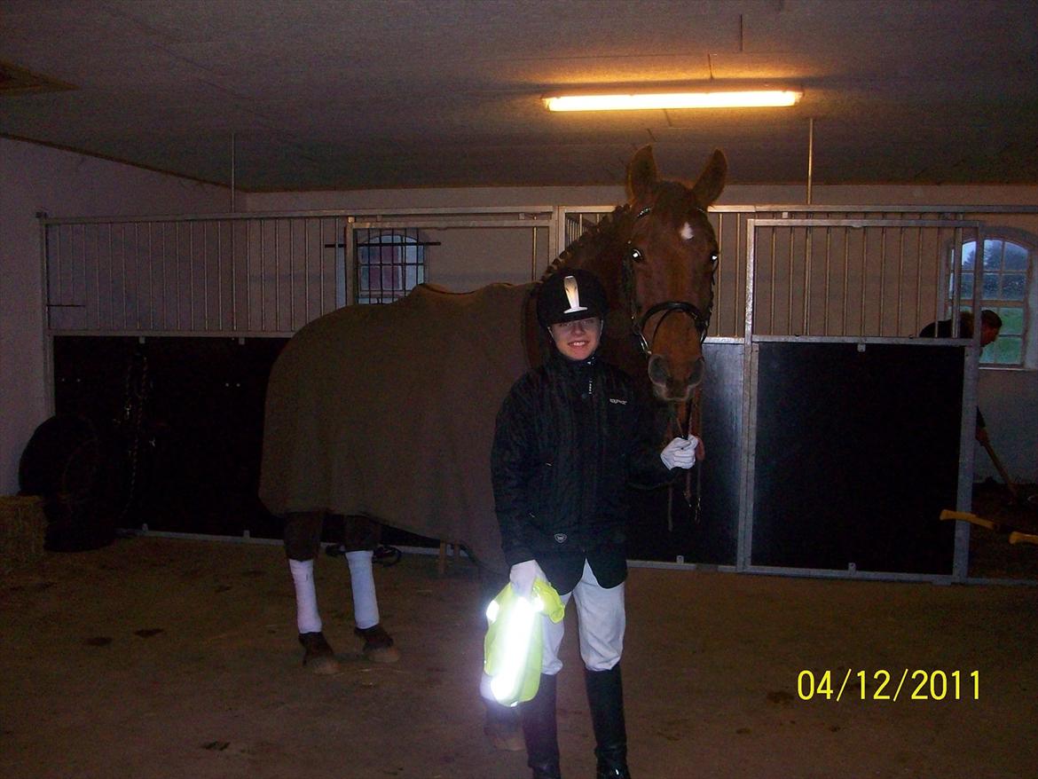 Anden særlig race Nitte - Klar til stævne :) billede 15