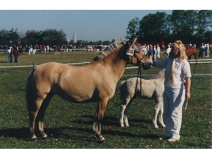 {{currentPhoto.altText}} billede {{currentPhoto.number}}