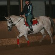 Anden særlig race Cirkeline <3