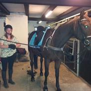 Traver Jason bay (djess )