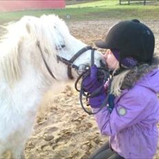 Shetlænder Mingus Mus* (søsters pony)