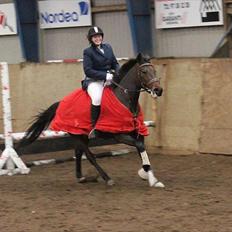 Traver Matasja CN *Natascha*