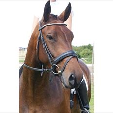 Oldenborg Bødker's Bailey