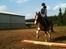 Pinto Dixie - Min dejlige pony!:-*
Foto: Amalie.