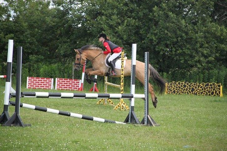 Anden særlig race Monty billede 10