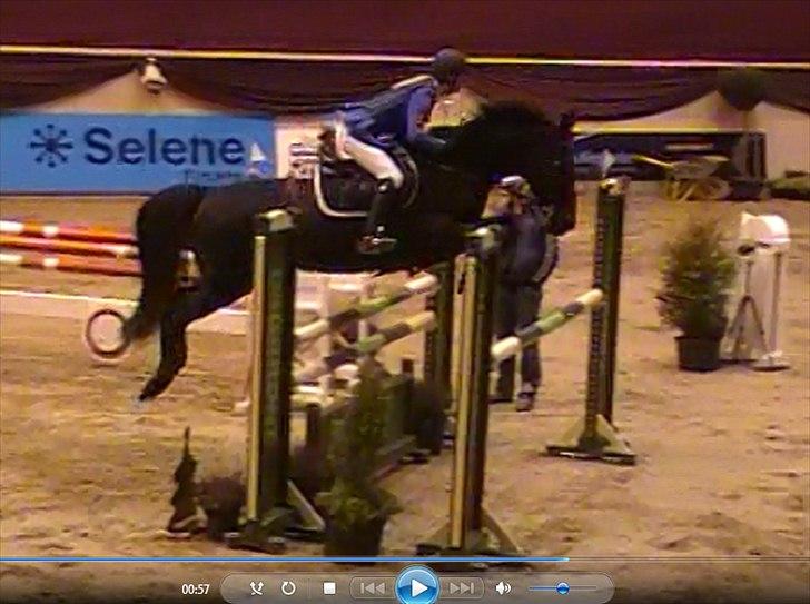 Dansk Varmblod Losanna - Første MB <3 billede 13