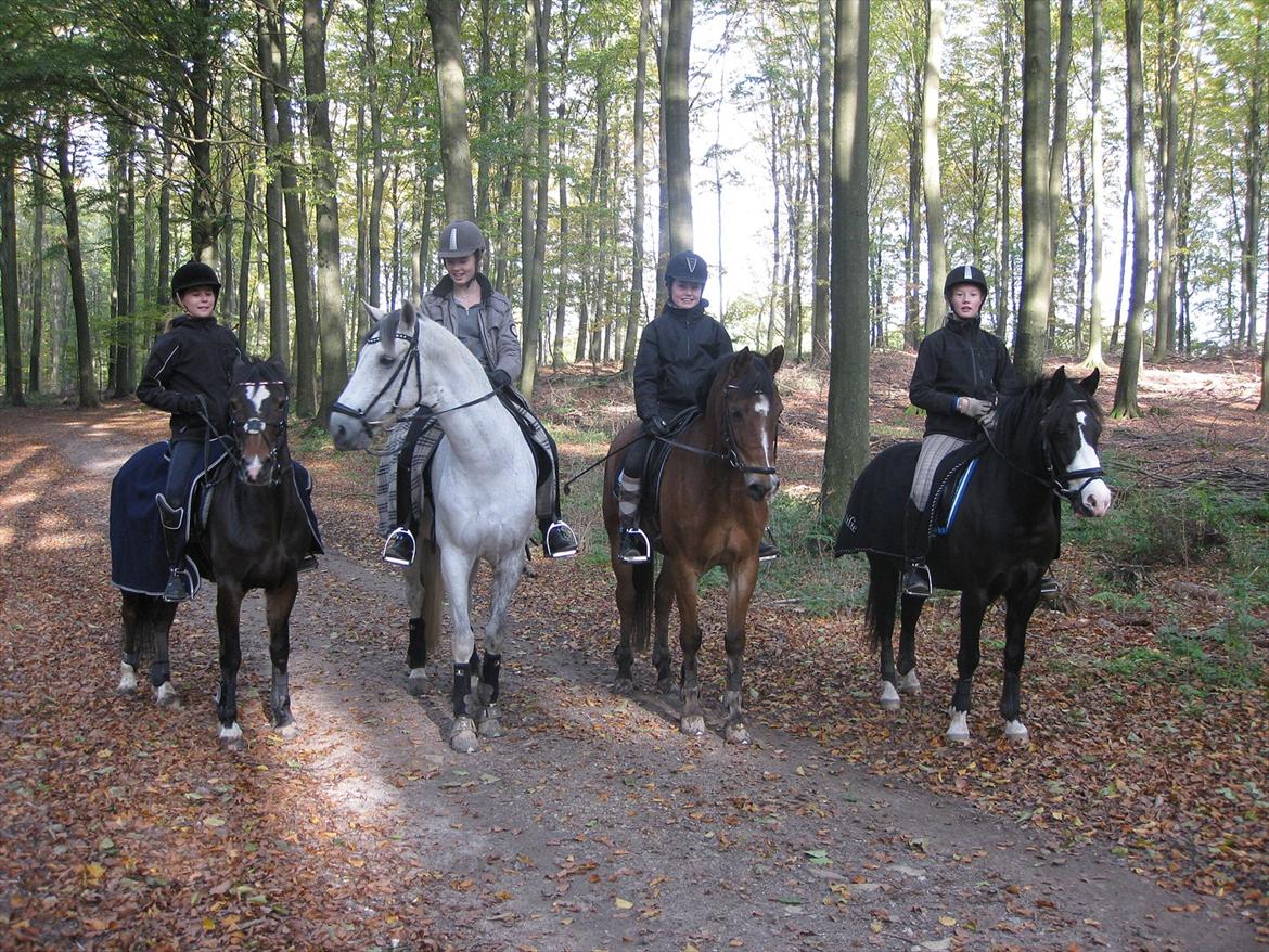 DSP Principal Touch - Det seje firkløver på skovtur ! billede 12