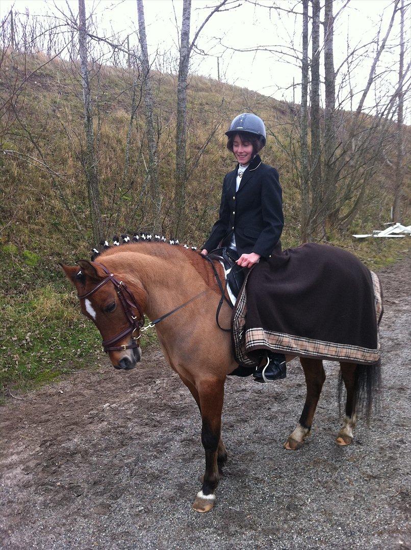 New Forest Migchlsheve´s  Twilight-Elegnce - I LOVE YOU billede 10