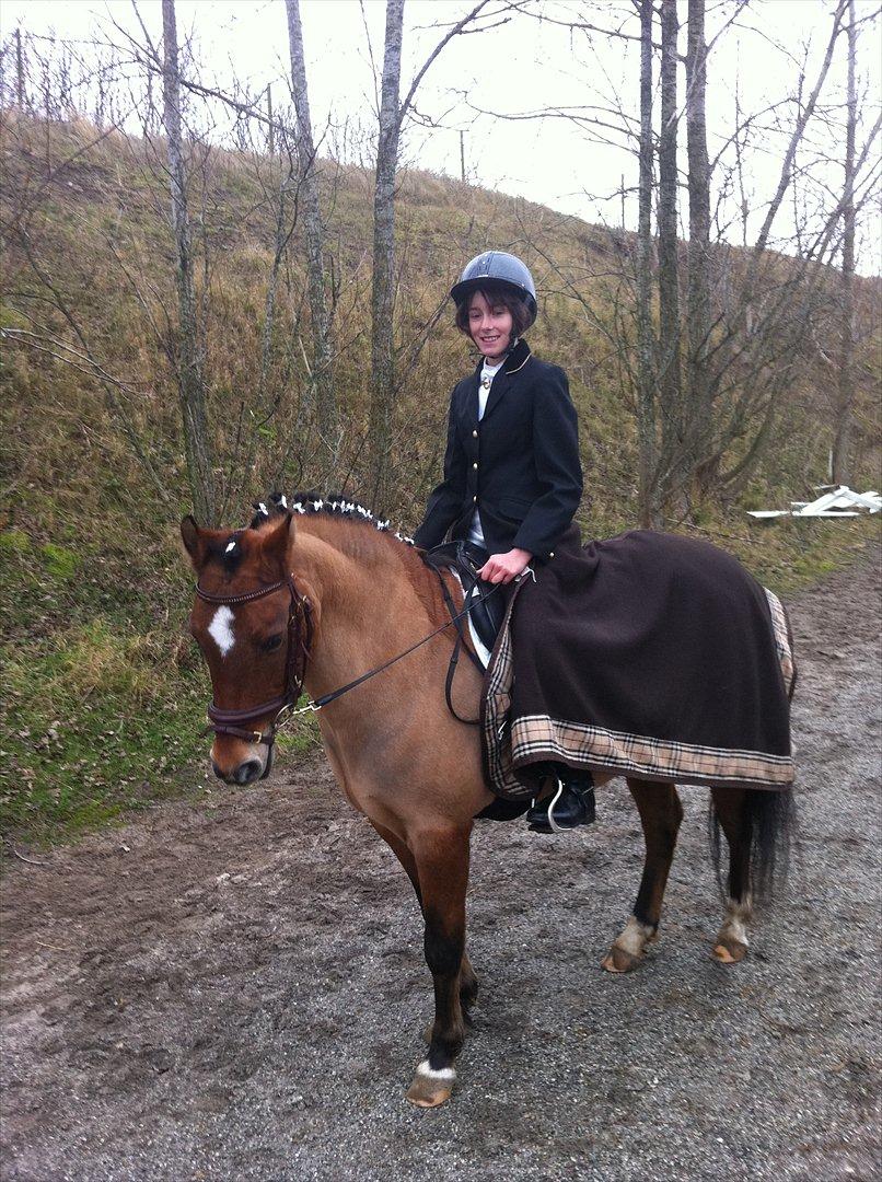 New Forest Migchlsheve´s  Twilight-Elegnce - Godt at TWILIGHT OG JEG KOM PÅ EN ANDEN PLADS  billede 11