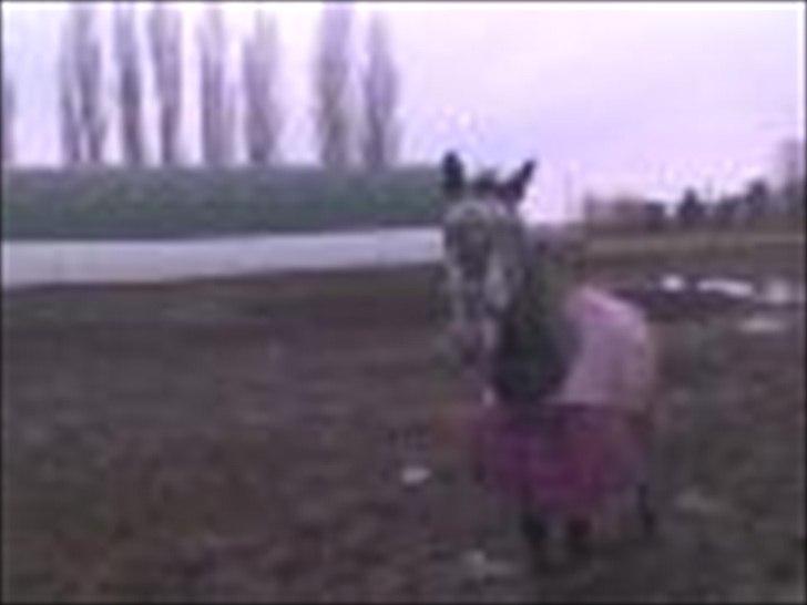 DSP Leonardo Søblink billede 10