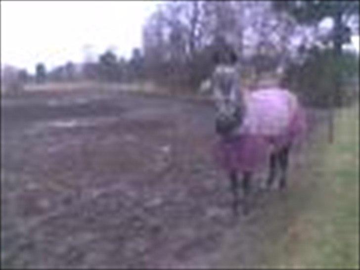 DSP Leonardo Søblink billede 11