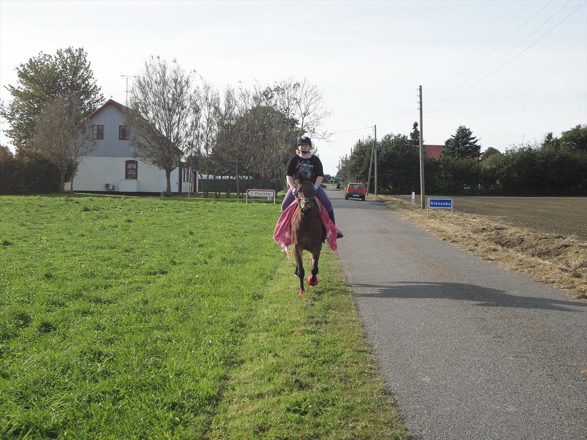 Anden særlig race Bitteby's Tulle.  - Velkommen til Stenseby :)
Og til Mullens profil selvfølgelig.
Foto: Erik Werner Hansen (min far). billede 1