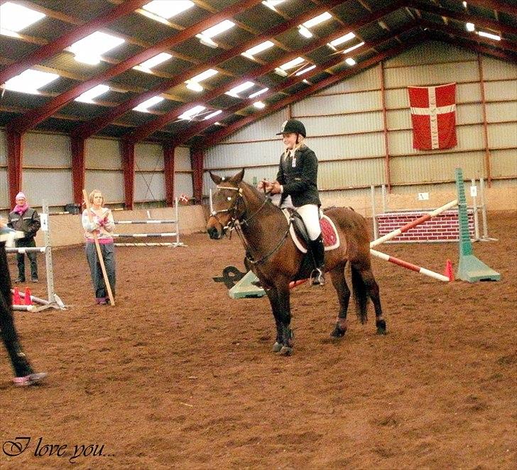 DSP SOPHIE - Vores første LD, 2 plads. :-) Dejlig pony!  billede 10