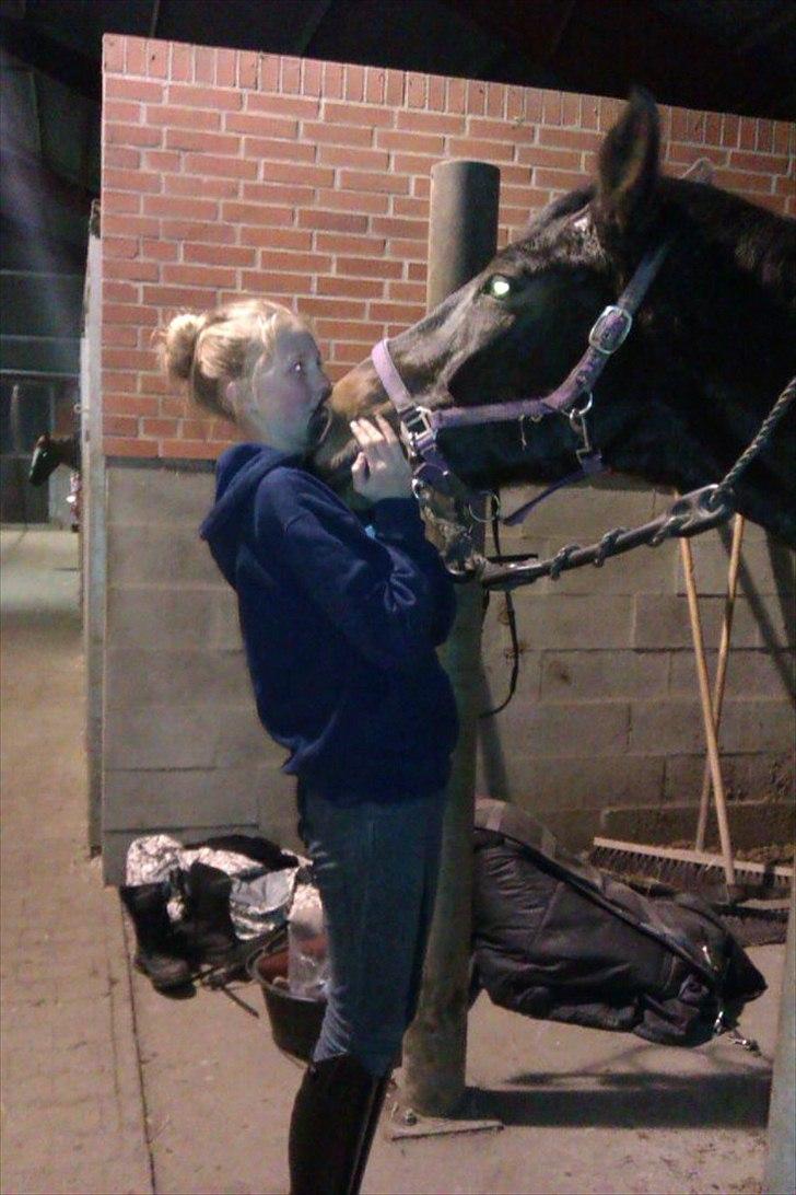 Anden særlig race Charles (Himmelhest) - Mys :-* billede 13