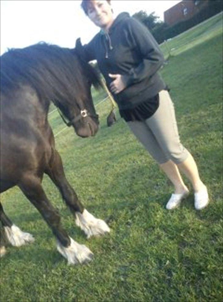 Tinker cheval billede 18