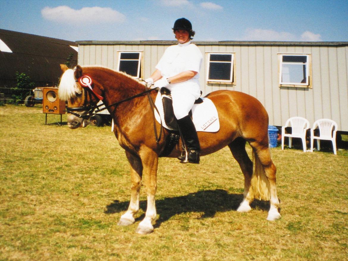 Haflinger Enggaardens Lotchen - Lotchen og jeg til stævne i Ringsted Sports Rideklub. 16. august 1997. billede 6