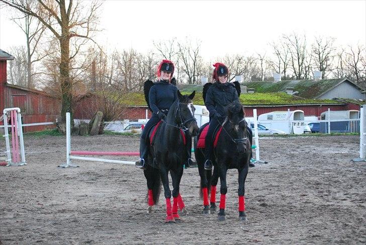 Oldenborg Tien Shan billede 19