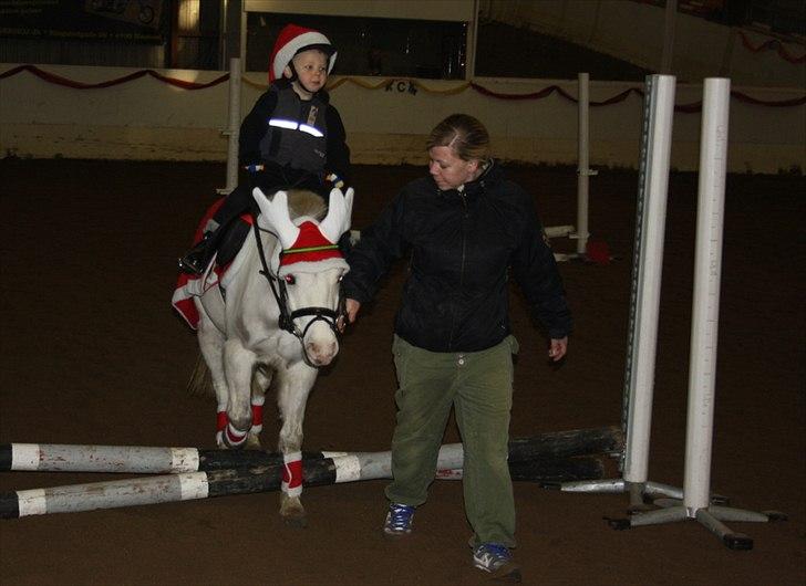 Welsh Mountain (sec A) Gribsvads Upser (208333WE00088) billede 7