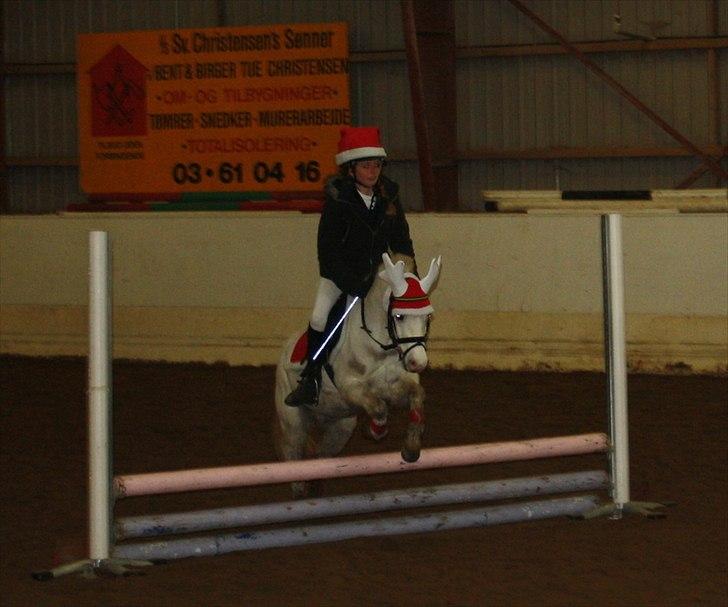 Welsh Mountain (sec A) Gribsvads Upser (208333WE00088) billede 8