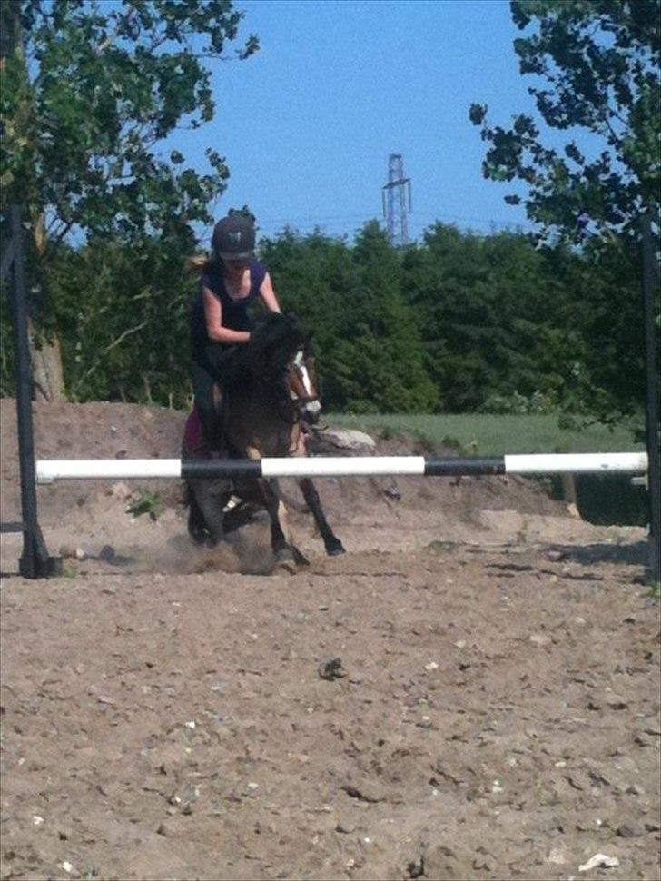 Anden særlig race Sofus - arr er ved at falde af :D fik for dårlig tilridning til springet undskyld lille hyp :) billede 15