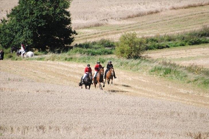 Anden særlig race Thyra - Mig og Thysens første jagt sammen :-) Her er vi i opløbet for dem der havde været med :-) Vi fik en anden plads!! :D billede 3
