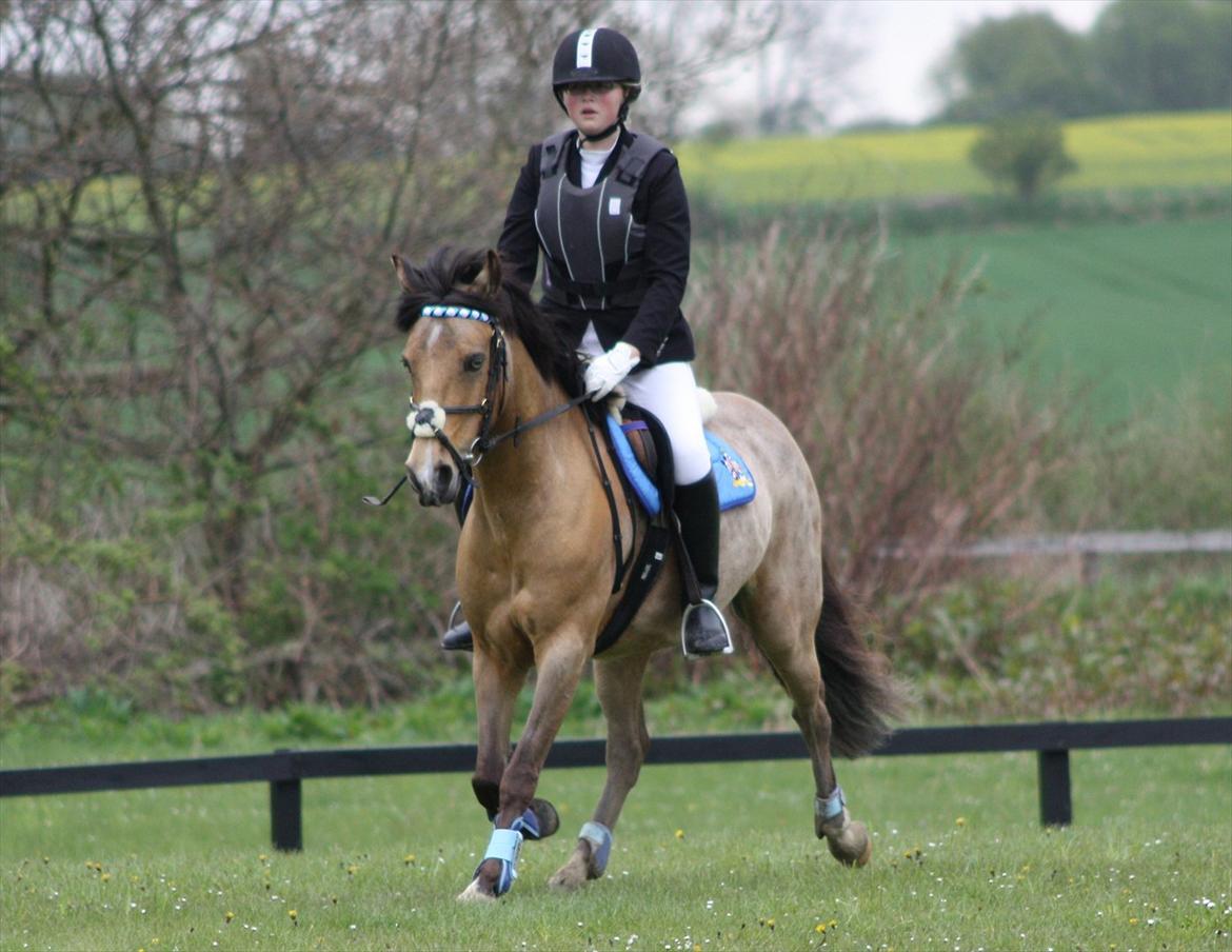 Connemara Com'si billede 18