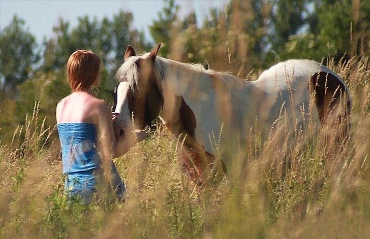 Pinto Blanding Gismoe - #8 Du har gjort mig så lykkelig på ingen tid :* Foto:Line Petersen :D billede 8