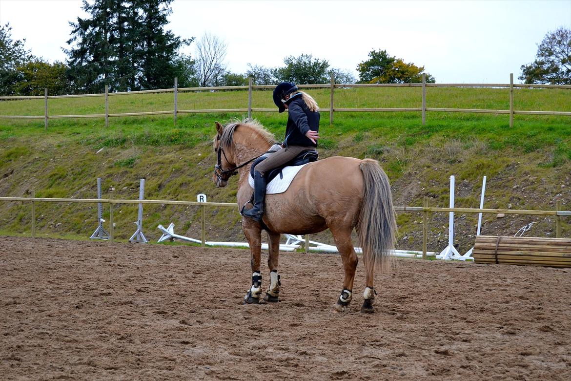 Anden særlig race Debby  - Anna og Debby 2011. Foto: Mig :-) billede 5