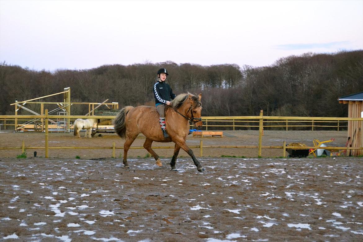 Anden særlig race Debby  - Anna og Debby 2011. Foto: Mig :-) billede 6