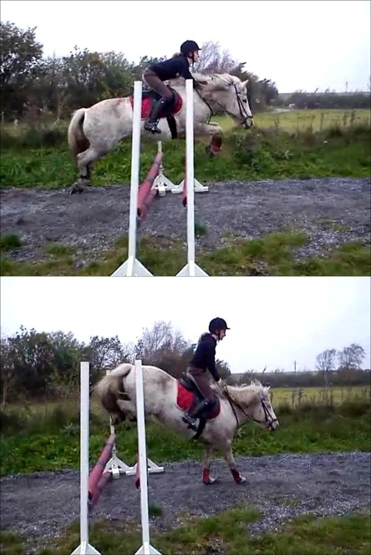 Islænder KRAFSA FRA RAVNEKROGEN |Skadet| - 6. Spring træning der hjemme, billed er taget ud fra en video, derfor dårlig kvalitet:-)

Learn from yesterday, Live for today, Hope for tomorrow
 Life isn't about finding yourself it's about creating yourself. If you fail, try again<3 billede 6