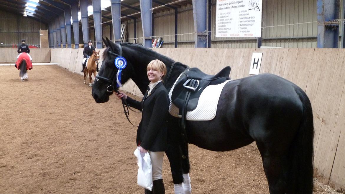 Frieser Jeltsje fra Sonderladegaard(Passer) billede 2