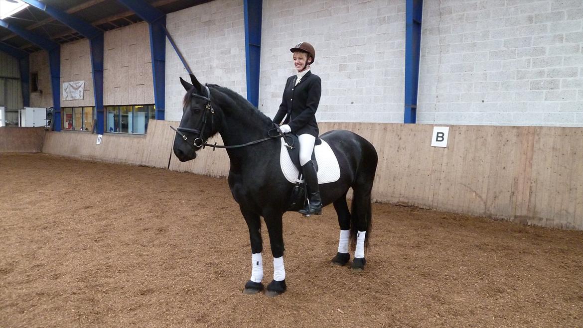 Frieser Jeltsje fra Sonderladegaard(Passer) billede 3