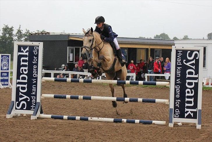 Irsk Sportspony Maam Boy<3 - mammi som 5 års billede 5