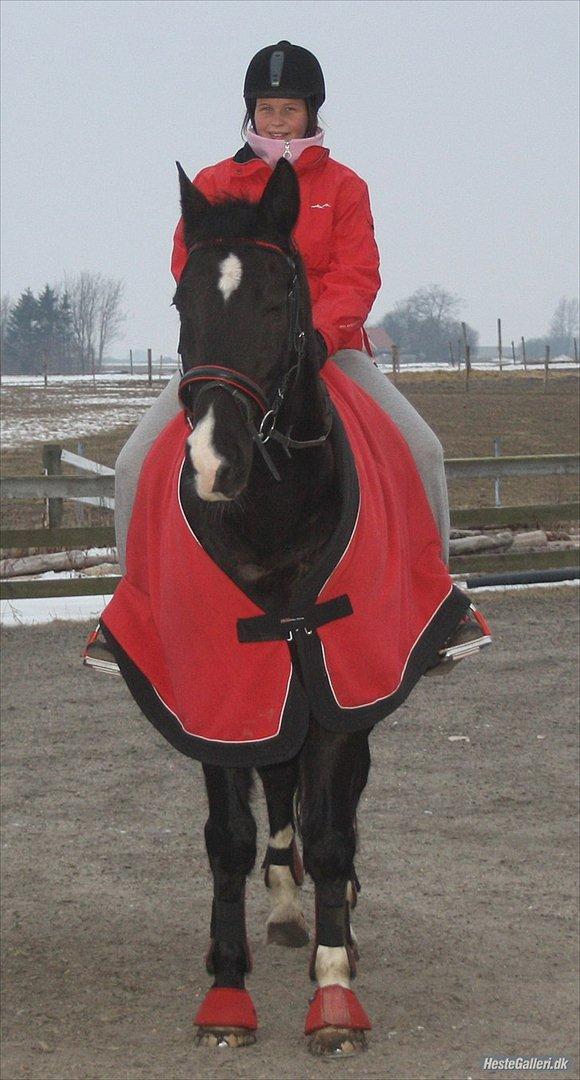 Dansk Varmblod Lady Hunter  - Hvil i fred minegen<3 billede 20