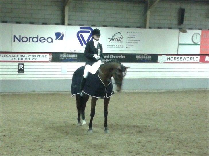 Dansk Varmblod Grevens Limone (Tøssen, Grevinden) - Vinder af klubmesterskab Vejle rideklub 2011 hest dressur billede 1