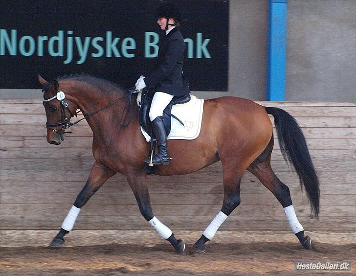 Trakehner Natacha (Møffe) - Stævne i Lerbæk:) billede 12