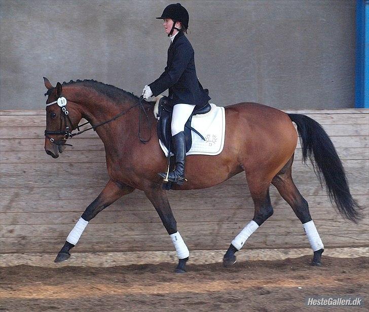 Trakehner Natacha (Møffe) - Stævne i Lerbæk:) billede 14