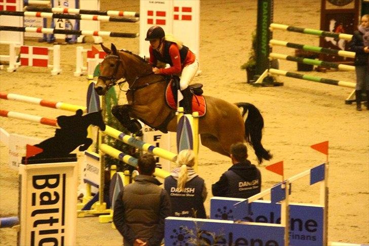 Anden særlig race Esmaralda "A-pony" SOLGT - BALTIC CUP 2/12 2011 MA** 0 FEJL 6.PLADS OG BEDSTE DANSKER I DEN KLASSE billede 15