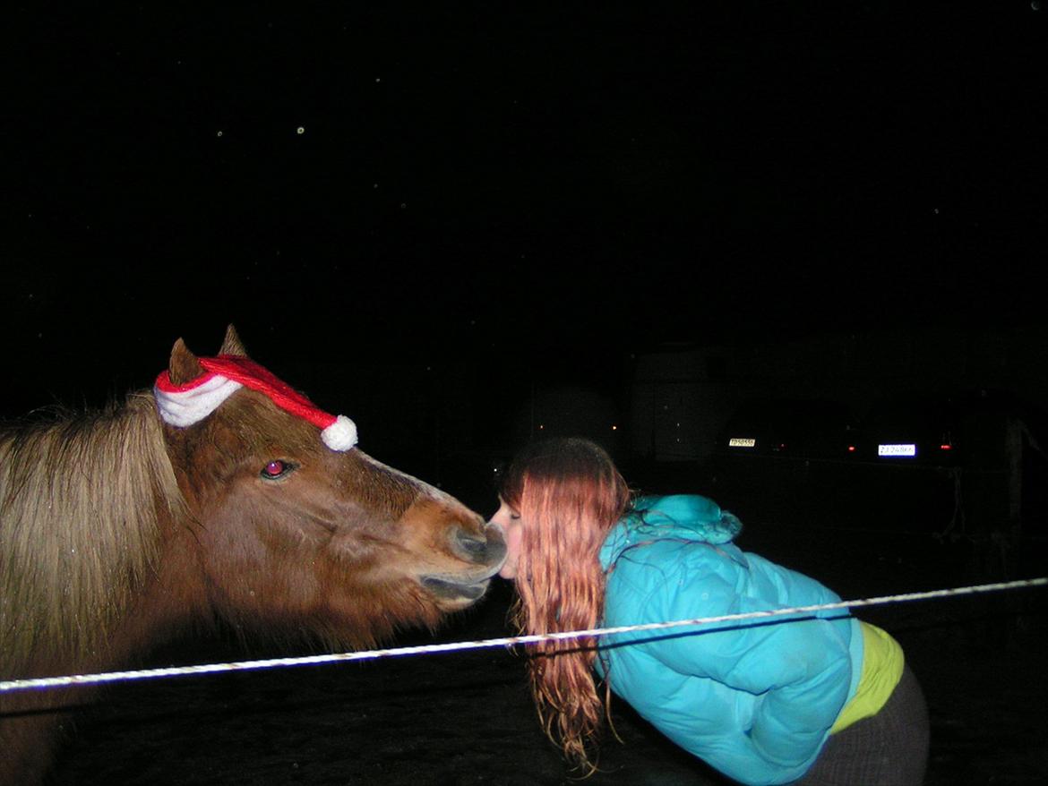 Islænder Røskva »Fortid, ikke fremtid. - All I want for christmas is you!!!<3
~ Amanda Billing. billede 3