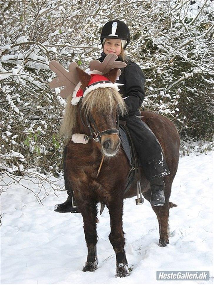 Anden særlig race Tarzan billede 14