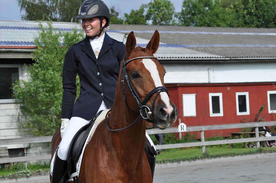 Dansk Varmblod Mr. T - Lettet pige og lettet hest :-) billede 6