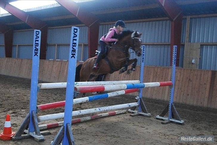 Belgisk Sportspony Bruno V/D Gortehoeve - Bruno og tidligere ejer Emilie. Her springer de ca. 120 cm. billede 7