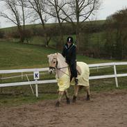 Fjordhest Emilia  [Tidl. part]