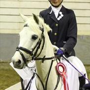 Welsh Pony (sec B) Hoelgaards Fernando